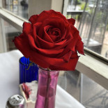 Bouton D 'or Chez Roch Et Florence Boisson