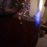 La Fermette Des Pins Bebida