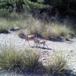 Het Bolderke Extérieur