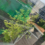 Frituur Den Ast Exterior