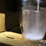 Morningstar Izegem Bebida