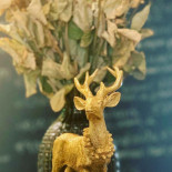 La Diferencia Bebida