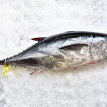 Dôme Sur Mer Bebida