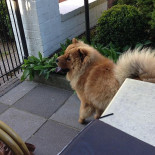 De Boshoeve Extérieur