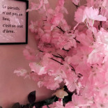 Le Phénicien Philippeville Boisson