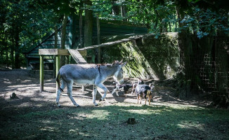 Ter Burchgraeve Exterior