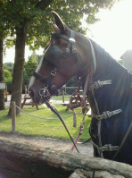 Ter Burchgraeve Exterior