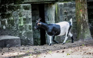 Ter Burchgraeve Exterior