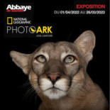 Cafe Des Musees Carta