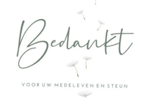 Il Piatto D'oro Logo