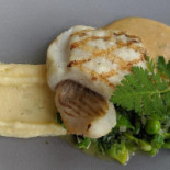 Greenroom Nourriture