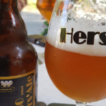 Bierkroeg Den Hulst Bebida