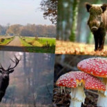 Paspartoe Extérieur