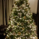 The Old Fiddler Boisson