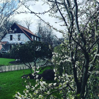 Huize Alberic Extérieur