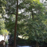 Lesse Capade Exterior