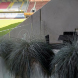 Bistro Berto Extérieur