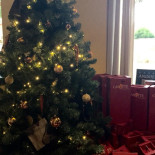 Tzikis Ouzeri Exterior