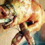 Tzikis Ouzeri Bebida