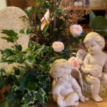 In Den Draaiboom Boisson