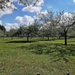 Sint-jansbergklooster Extérieur