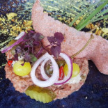 De Twaalfde Oogst Nourriture