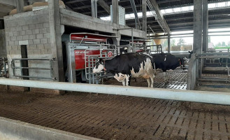 Ferme De Cavrinnes Bebida