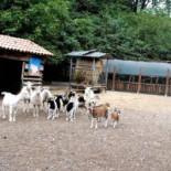 't Keyserke Bvba Exterior