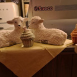 Decock Frederik À l'intérieur