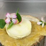 Hofke Van Bazel Bebida