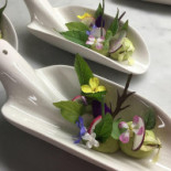 Hofke Van Bazel Bebida