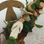 Hofke Van Bazel Bebida