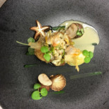 Hofke Van Bazel Bebida