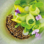 Hofke Van Bazel Bebida