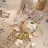 Le Primordia Boisson