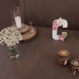 Le Primordia Boisson