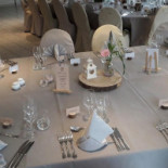 Le Primordia À l'intérieur