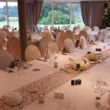 Le Primordia À l'intérieur