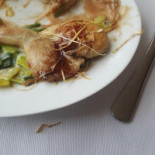 Le Primordia Nourriture