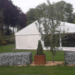 Le Primordia Extérieur