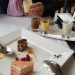 Le Primordia Boisson