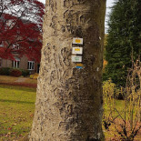 Le Primordia Extérieur