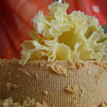 Guynemer Menen Boisson