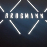 Brugmann Boisson