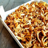 Lammekeshoeve Comida