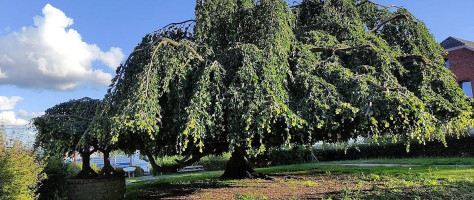 La Couronne Extérieur