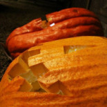 't Vossenhol Nourriture