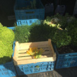 Tout Simplement Extérieur