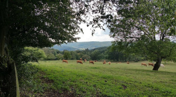 Beffelyhills Exterior