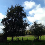 Chez Basil Extérieur